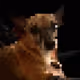 0x0b33483aae494bbc212b12447ff418bf6d5f7009