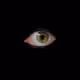 0x0b478e8a5efa780d2ee61b47e2ed6e8d9f555f02