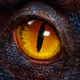 AgeOfDino_Deployer