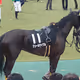 A-Wako