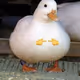 currmighty