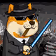 BolddogesTeam