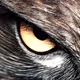 Raven_7_Pixels