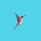 PurpleMartin