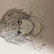 0x0bc8469d7b827dcbd49dbdb6637411d6f1b35419