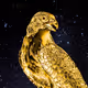 3dArabianFalcon