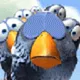 Pixxr