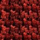 0x0c0364f2a10b374fdb1f62fc9e23ded612f5d95e