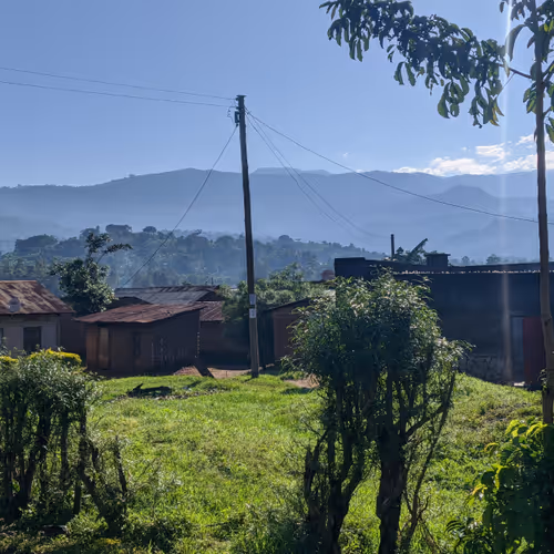 OpenSea profile picture for @Kampala