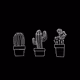 0x0c5bf781c5e4edc6f7b7ea3436c71e1765c54e80