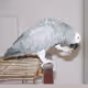 NickSwissPost