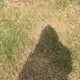 0x0c77f96885d10d9e771b6c803c674df69a4080f6