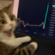 LFG2026MEOW