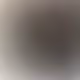 00111111111