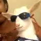 aintgonjam
