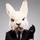 Lapin13