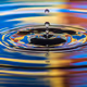 Ripple_Effect