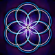SacredShifters