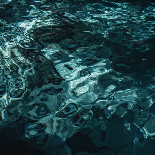 OpenSea profile picture for @neurological