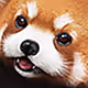 ActuallyARaccoon