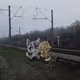 raisaur