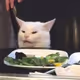 catbrain
