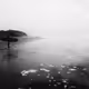 bloodaround69