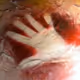 Cavehand
