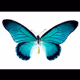 0x0d4fd03721a92d637a1c9d0d4d779a60ebacba15