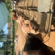 Dgjrt