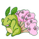 kusunyoki