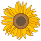 0x0d6d5202c2ebd93fd5f5ec81d16b5d35b62402df