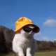 0x0d6e94d085a597f316be1833649e05a45103e873