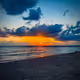 Sunsets_live