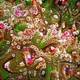 MiniBloom