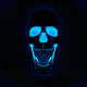 The_Curious_Skull