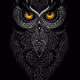 0x0db5c6631c718a5b52c5df520caf65a938765e17