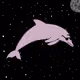 TheDolphinHideout