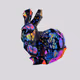 HyperspaceBunny