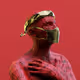SB-feign