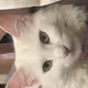 S62