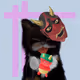 CatnipCanvas