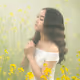 antuanpham1092