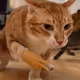Big-Cheddar