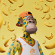 0x0e5aee8c7a300734cb71d06249262ee2469014b3