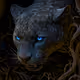 RandokittyItsMe