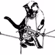 Methylamine