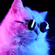 arkine.eth