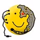 smileyborg