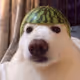 0--